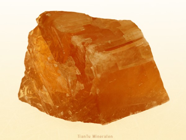 Champagne calciet