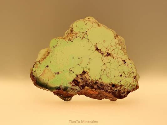 Citroen chrysopraas