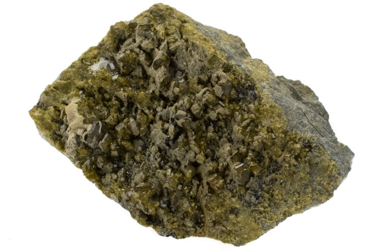 epidoot