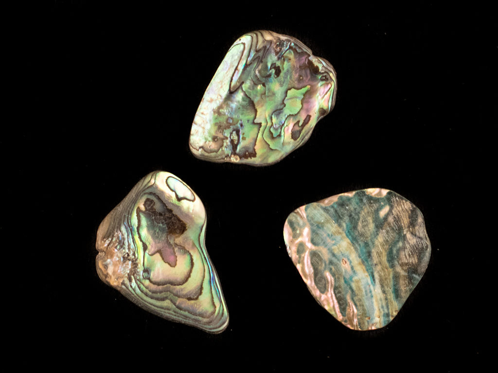 paua opaal