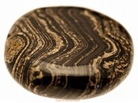 stromatoliet of slangen jaspis