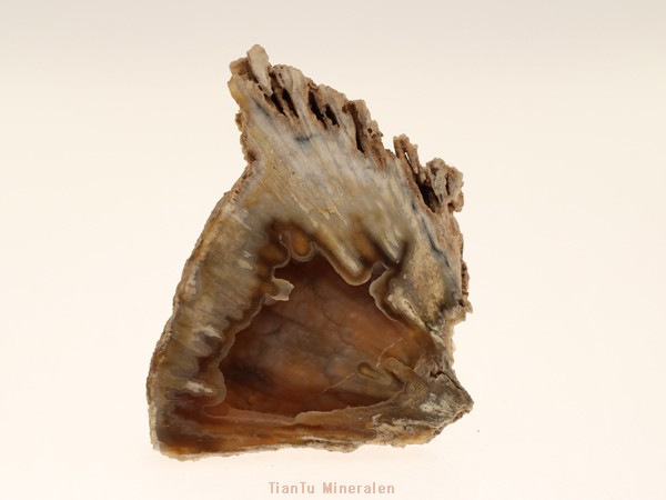 florida stone