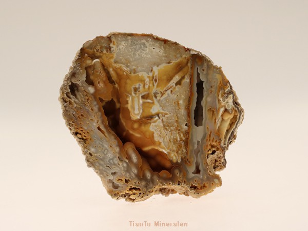 florida stone