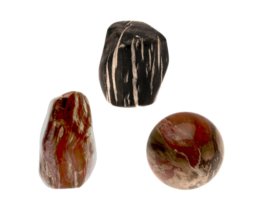 Versteend hout