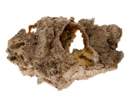 Uitzonderlijke stukken