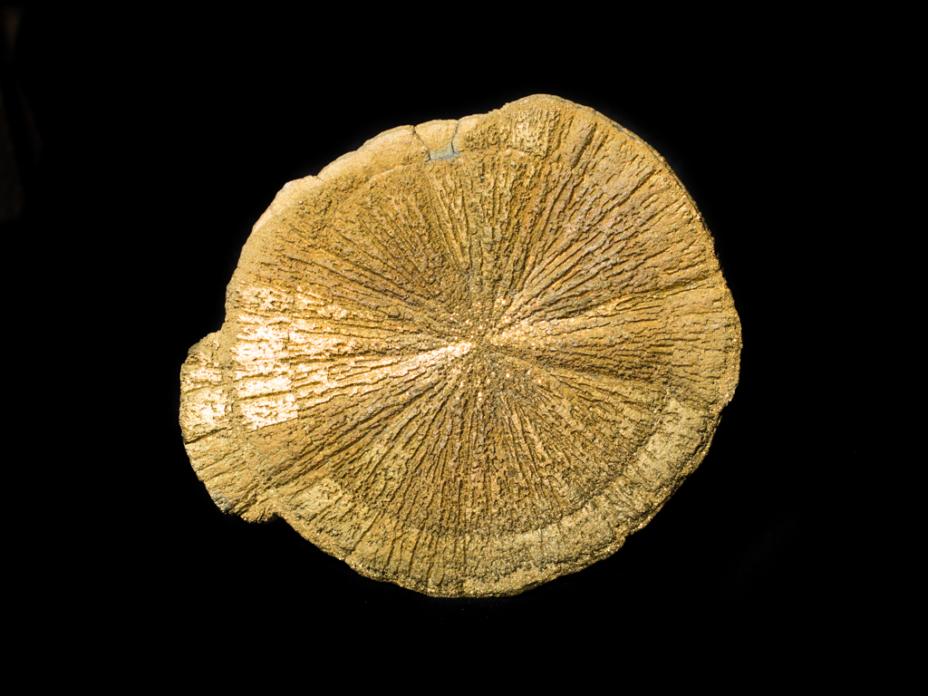Zonne pyriet of pyriet kristallen - 30% zonnepyriet