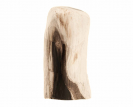 Versteend hout free form (Indonesië)