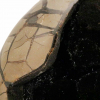 Sjamaniet
