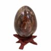 Versteend hout eivorm